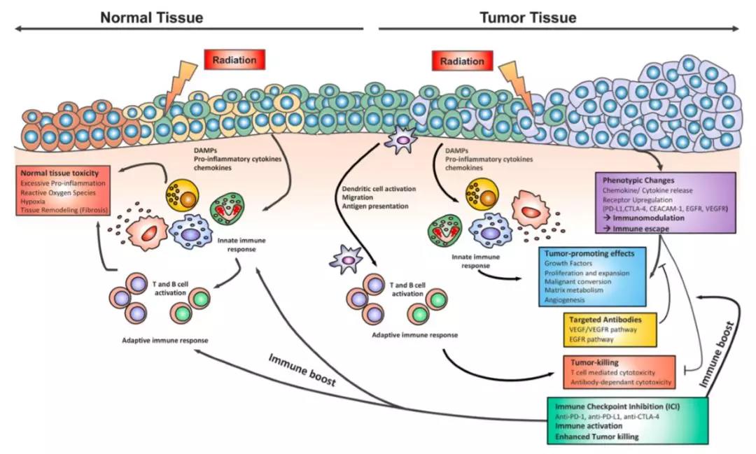 talkmed-拓麦-谈医学,拓视野
